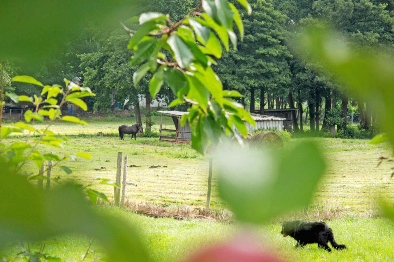 Ferienwohnungen Auf Dem Pommernhof Samtens Zewnętrze zdjęcie